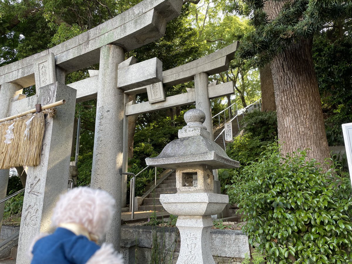 元シャチの冒険➡︎今はカルルの新しい冒険。 tweet media