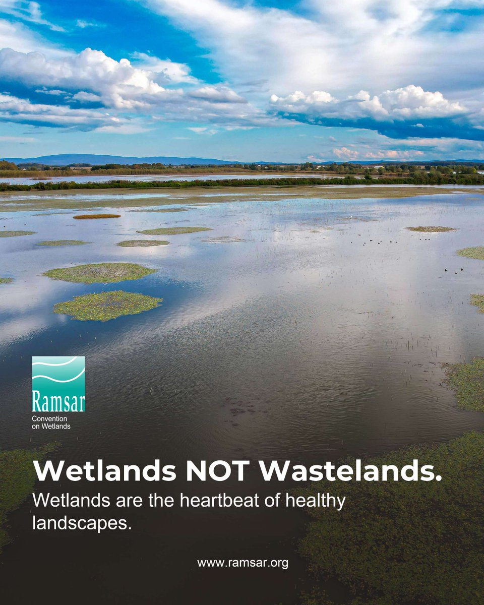RamsarConv's tweet photo. Food for thought this weekend 
#WetlandsNOTWastelands #WetlandsMatter #ConventionOnWetlands https://t.co/16CCfly2lQ