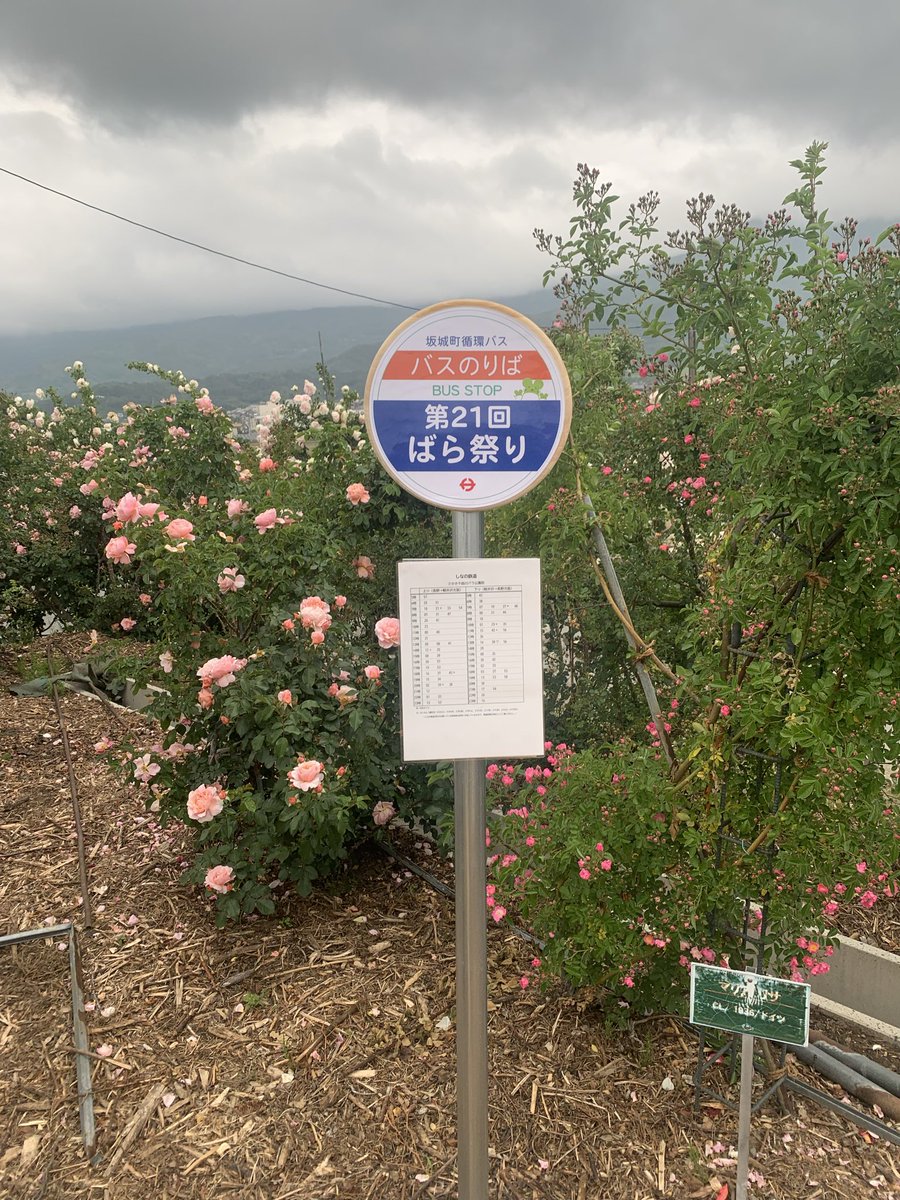 bntuan23's tweet photo. 今日の午後はバラの祭りを行ってみる、美しいですが、あの時は雨を降るそうですから、ちょっと暗いになっている。 https://t.co/TCeBfpfqzO