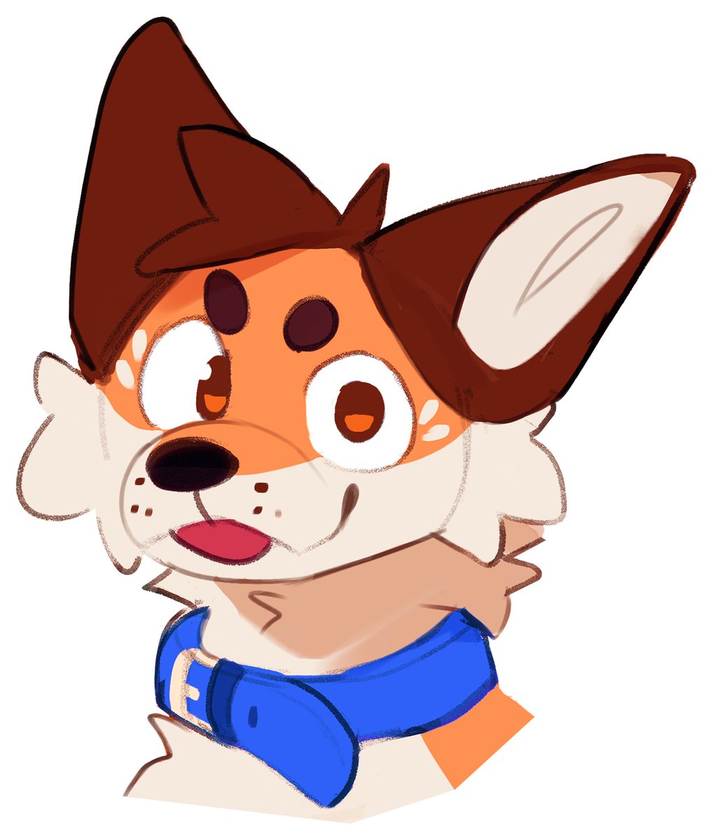 ToniccFox's tweet photo. @ZayphirWuffs woof https://t.co/oHNs06FQ5z