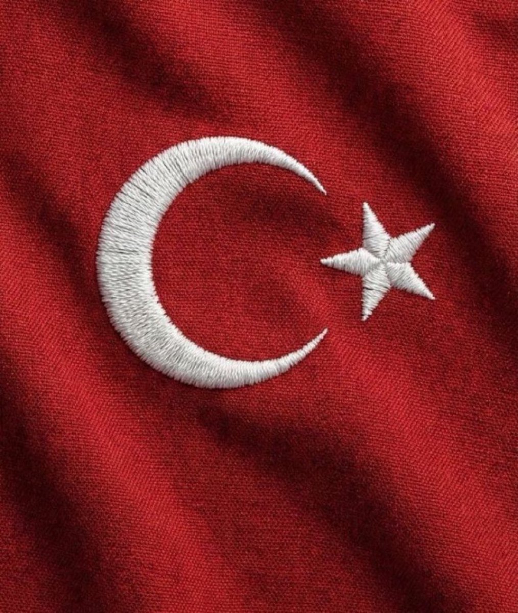 Gökçe Katun tweet media