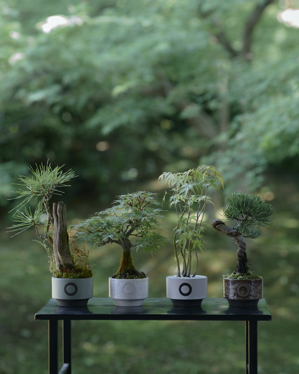 掌に収まる、小さな植木鉢。 利休 -RIKYU- (XS)に、 「緑釉」「白寂