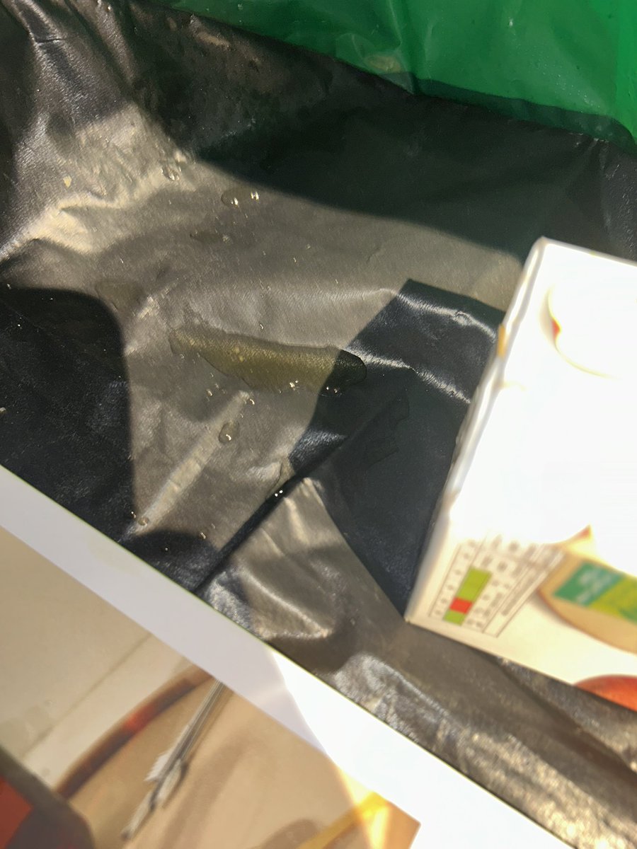 andburd's tweet photo. Hi @waitrose. Bought this apple juice. Had leaked out of the carton’s bottom (top seal remained intact) in my bag and onto my other groceries, by the time I got home to unpack it. https://t.co/A8UELf5rJE
