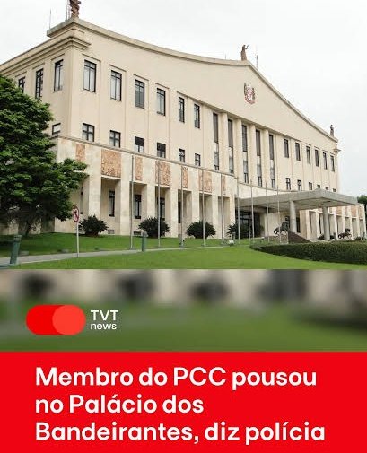 Pedro Ronchi tweet media