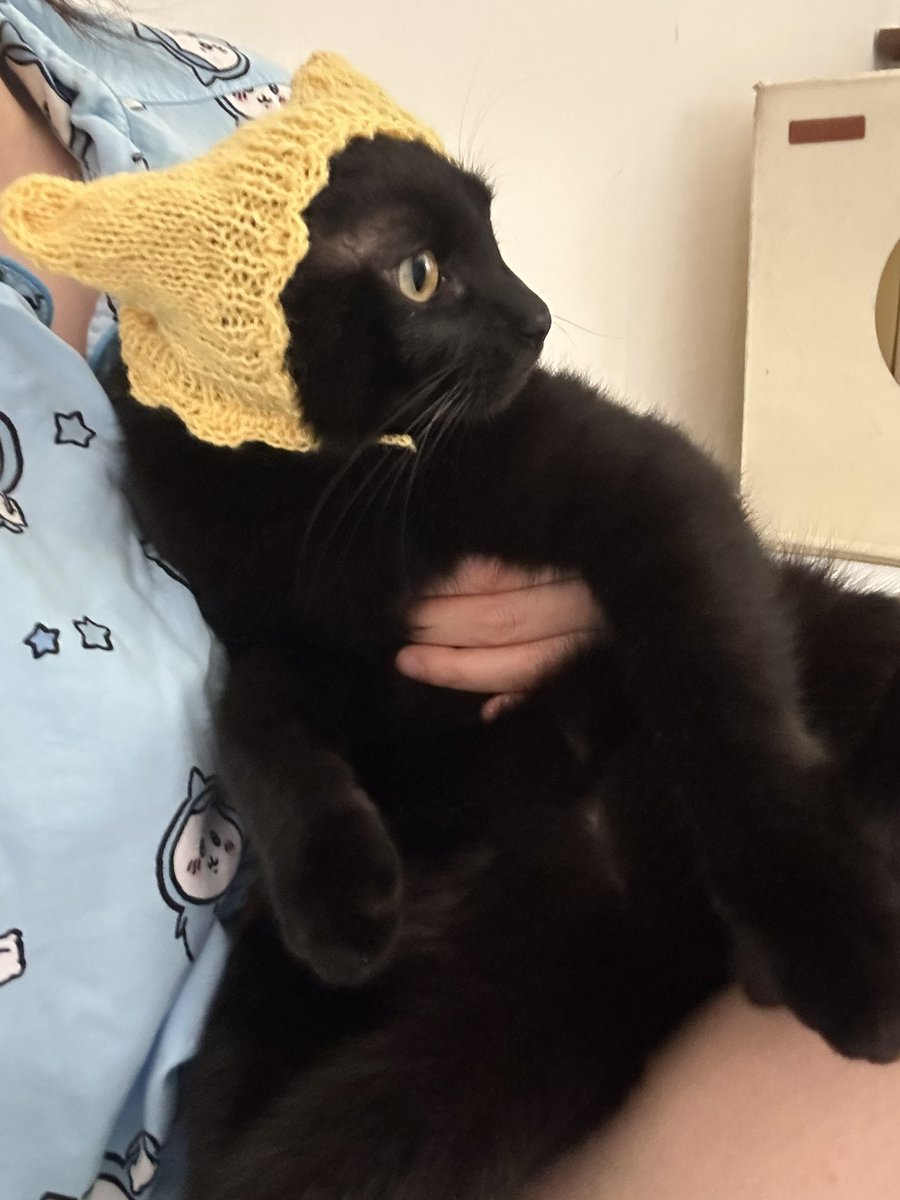 seorithecat's tweet photo. 완성~.. 이지만
다소 아쉽기 때문에 
다음엔 더 잘 뜰테야 
완벽한 핏을 만들어내는 그날까지~~ https://t.co/7Dj5AqJ5G9