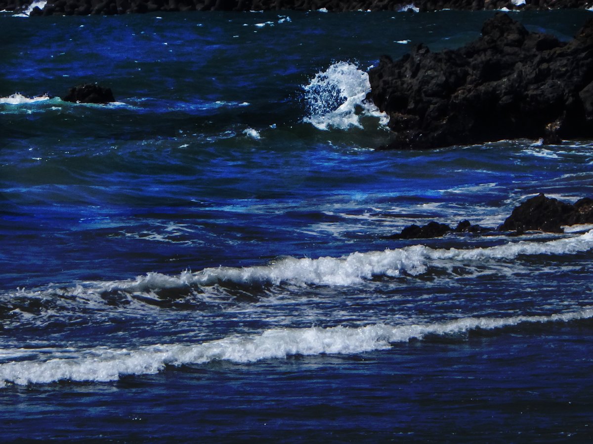 takaxuz's tweet photo. 大海青.
#WG70
#ロケハン
#retouch https://t.co/VxKcvsfGNg
