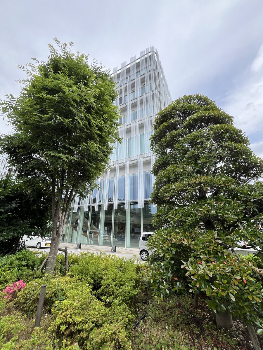 MkCqi's tweet photo. 🌾🌾５月下旬①🌾🌾
💫うちわ祭「普通救命講習」に参加
💫教育委員会・企画課・福祉総務課等etc
　　個別案件をご相談
💫高次脳機能障害の勉強で大宮へ
💫被爆者の声を聴く証言会
💫定例連絡会 https://t.co/pT0ctkEPUF
