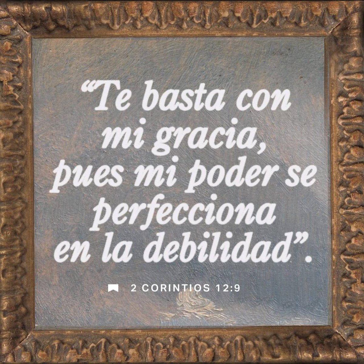 Edita Rodriguez tweet media