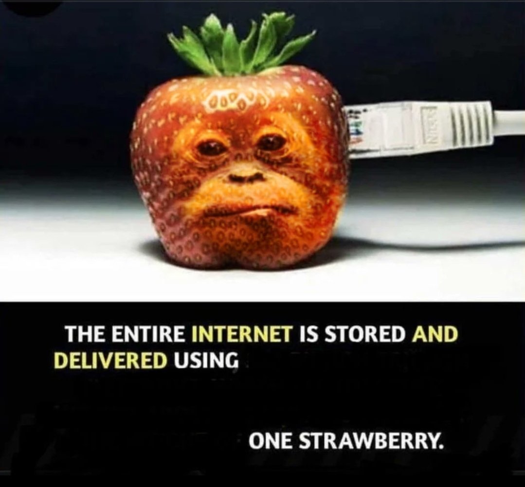 primateluvr tweet media