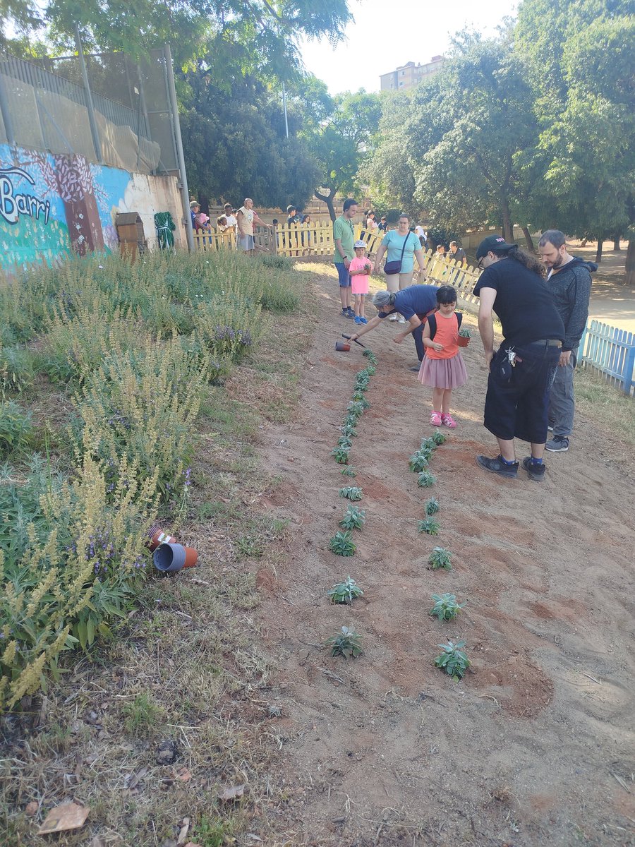 xarxavalors_sc's tweet photo. El Raval acull l’activitat que culmina la Diada de la Primavera de la Serra d’en Mena, amb la plantada comunitària del Jardí del Barri 
#SantaColomsCreixAmbTu https://t.co/7VxKHOt26e