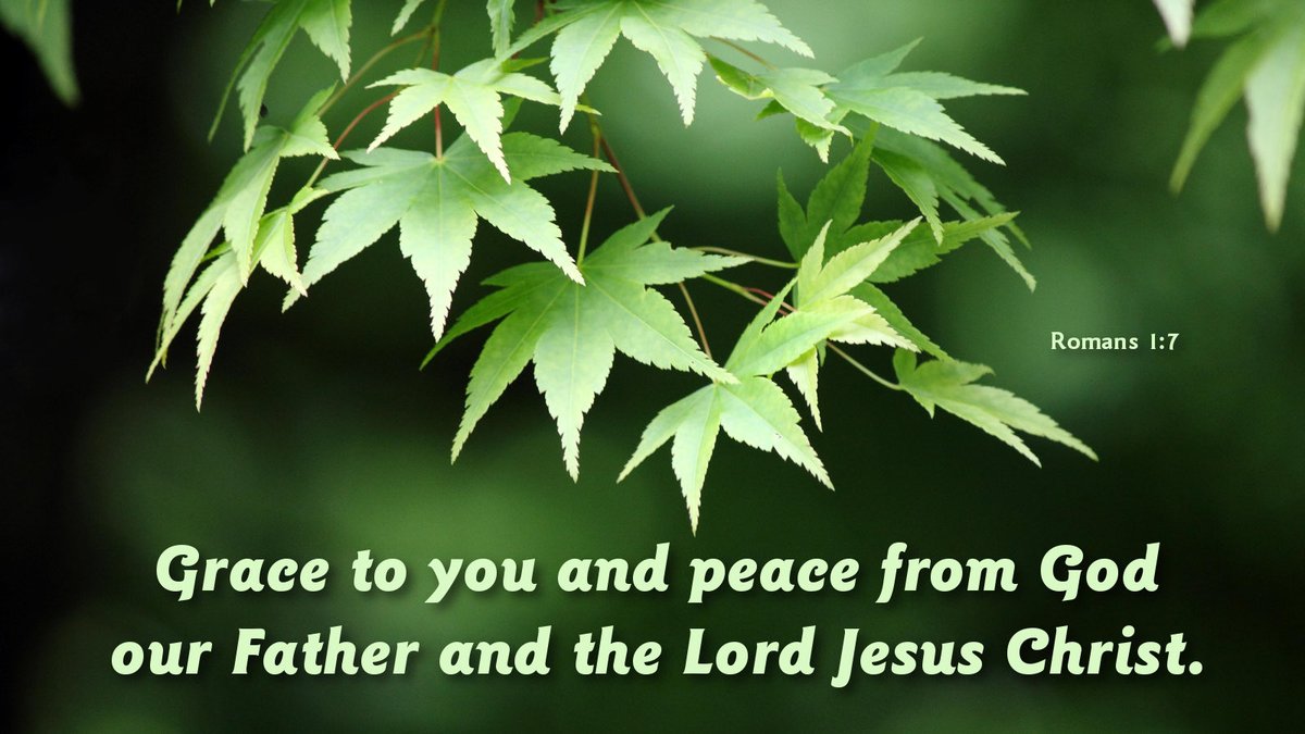 msmithsb16's tweet photo. Get a moment of distance to recenter yourself around Christ.  He will give you the grace and patience you are seeking to give to others. https://t.co/qZnUiD1cef