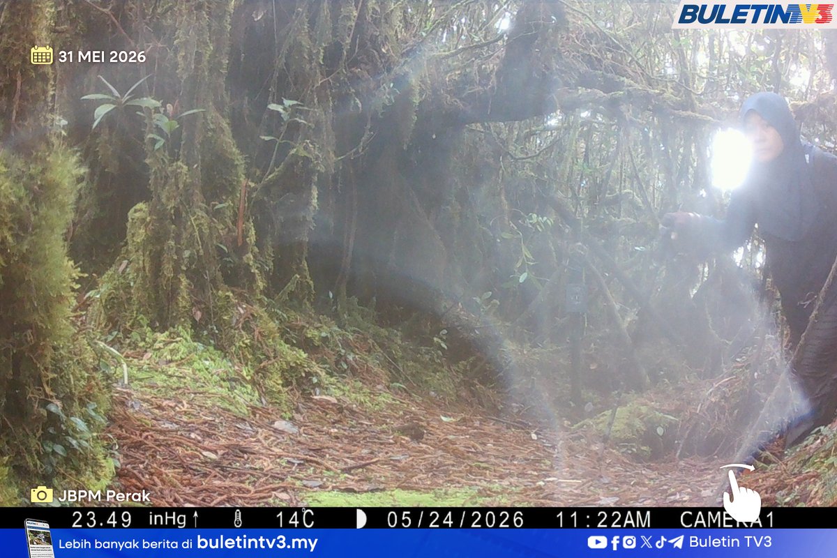 BuletinTV3's tweet photo. KEHILANGAN JASLINDA | Imej kamera pengawasan di Kamera 1 (Gunung Batu Putih) pada 24 Mei memaparkan Jaslinda Saludin melintasi laluan tersebut pada 11.22 pagi.

Sebelum ini, Jaslinda dilaporkan menyertai pendakian Trans Spencer Chapman bersama 13 pendaki lain dan dua MGP pada 23 Mei lalu melalui laluan Pos Gedung-Gunung Bah Gading-Gunung Batu Putih-Kuala Woh sebelum dilaporkan hilang.

#BuletinTV3 #kehilanganJaslinda #operasiSAR #pendakihilang