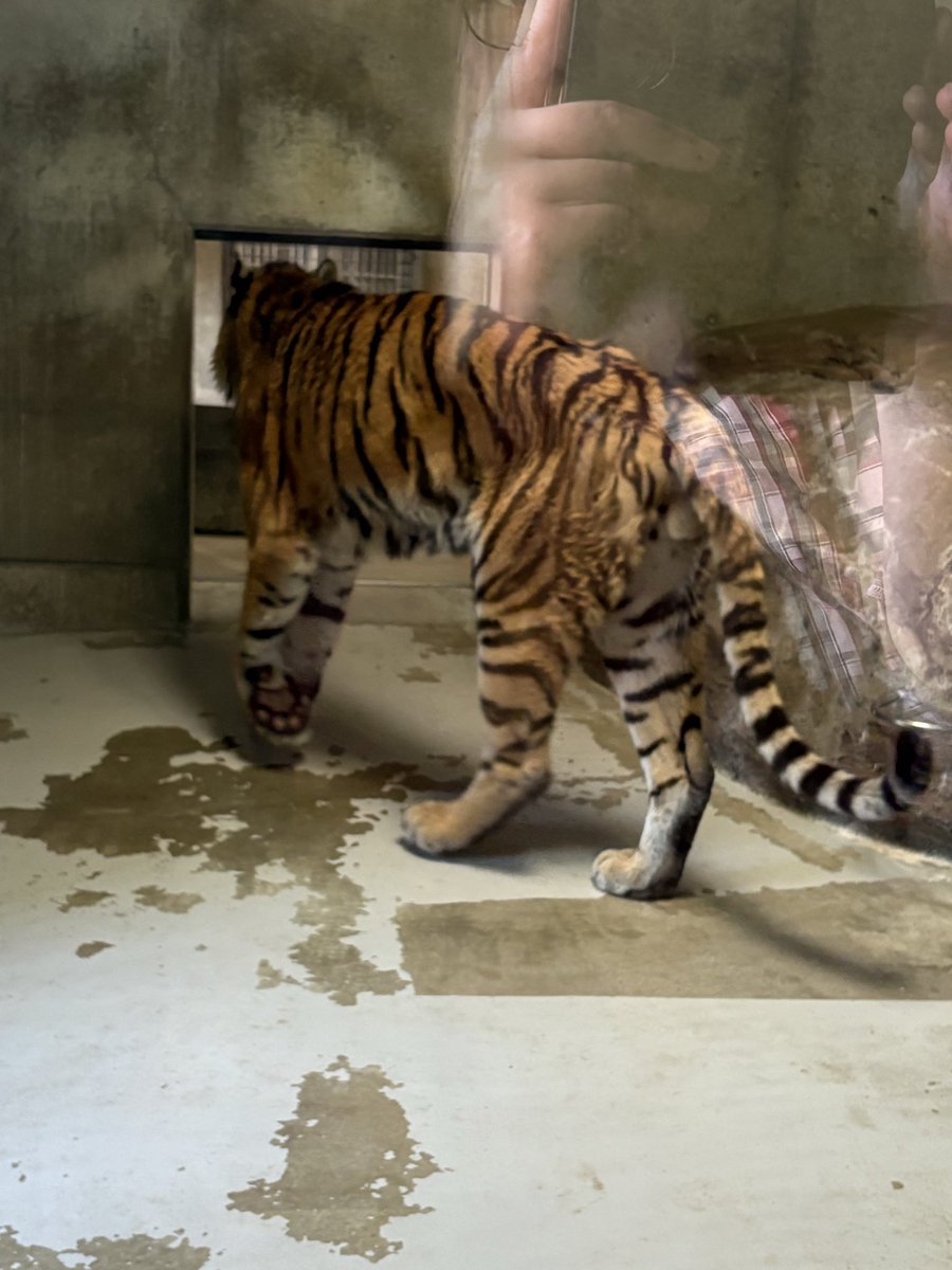 lilith1002's tweet photo. ��近、毎週大阪来てる気がする💦

天王寺動物園にて https://t.co/MYM65tvF8q