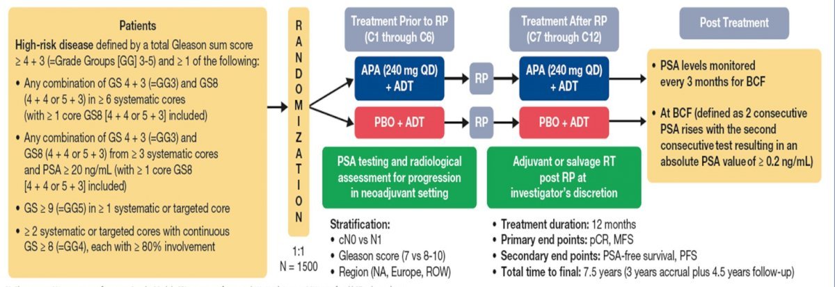 DrSpratticus's tweet photo. 2/n  #ASCO26
The design. 
Peri-operative ADT (12m) + RP vs
Peri-operative ADT+Apa (12m) + RP

Robustly blinded, placebo controlled.

Some may criticize that the SOC is not RP+ADT, but simply RP, but others may state this raises the bar to show benefit of apalutamide.

@WallisCJD @HimanshuNagarMD @ChapinMD @CaPsurvivorship @wandering_gu