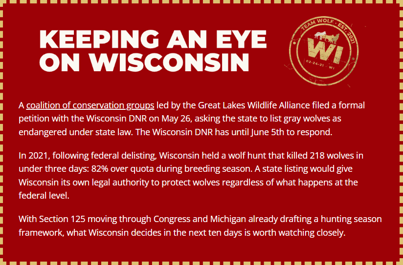 Suomigirl987's tweet photo. A coalition of conservation groups led by the Great Lakes Wildlife Alliance filed a formal petition with the Wisconsin DNR on May 26, asking the state to list gray wolves as endangered under state law. The Wisconsin DNR has until June 5th to respond. https://t.co/yBeDcTKcQd https://t.co/VYaggWokAS