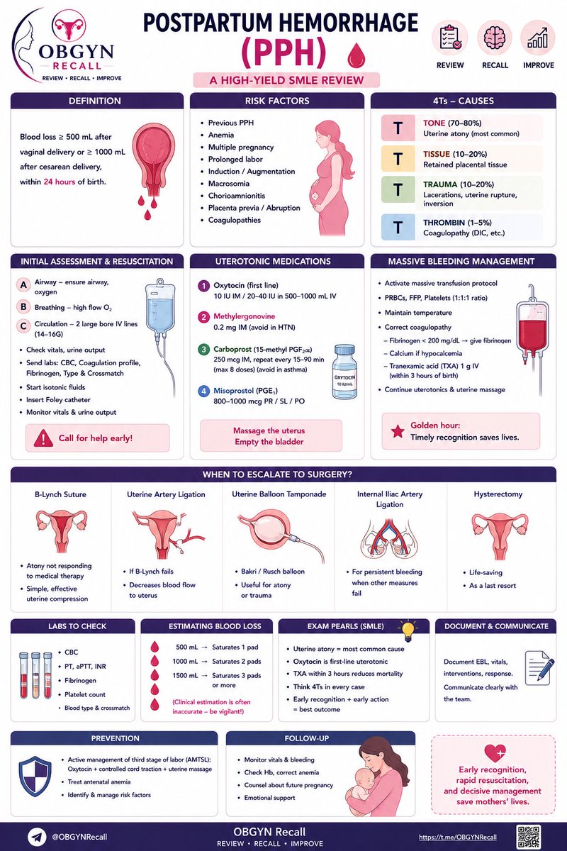 o_o_dr's tweet photo. Postpartum Hemorrhage (PPH) 🩸

One of the leading causes of maternal mortality worldwide and a must-know topic for SMLE.

▫️4Ts causes of bleeding
▫️Initial assessment & resuscitation
▫️Uterotonic medications
▫️Massive transfusion principles
▫️When to escalate to surgery
▫️High-yield exam pearls

A concise visual review designed for rapid recall and exam success 📚

OBGYN Recall
https://t.co/oypsOA8dAA