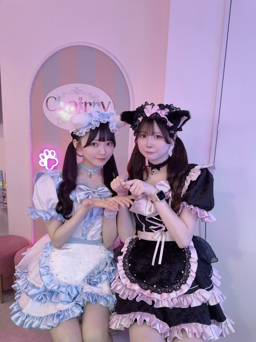osatoksm's tweet photo. 白猫と黒猫🐈🐈‍⬛
にゃんにゃーん、ねこすきーー？ https://t.co/k3Pqapz1Ov