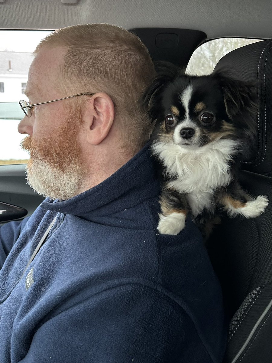 Piper tweet media