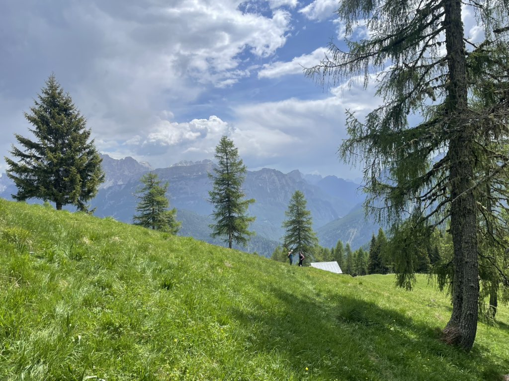 PierangeloPozzi's tweet photo. Baita de Colmont. https://t.co/AyCsjbPFnx