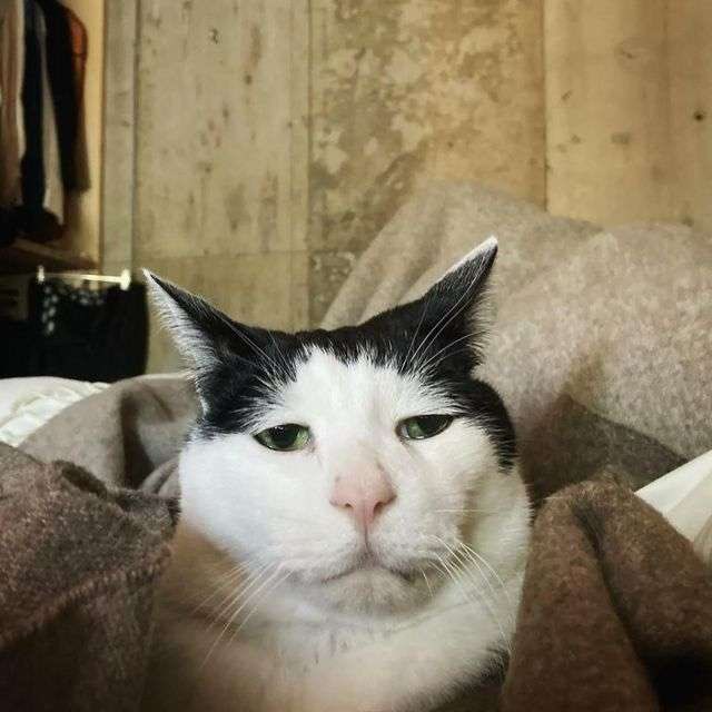 HazelXml's tweet photo. Me after I am taken to the “sphere” https://t.co/YPcNtjIaze
