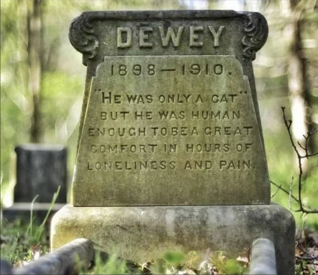 LeoDaVinciWave's tweet photo. Dewey the cat passed away in 1910, but the love his owner had for him was so deep that a gravestone was placed in his honor and it still stands more than 126 years later. https://t.co/v1EPFyVm3k