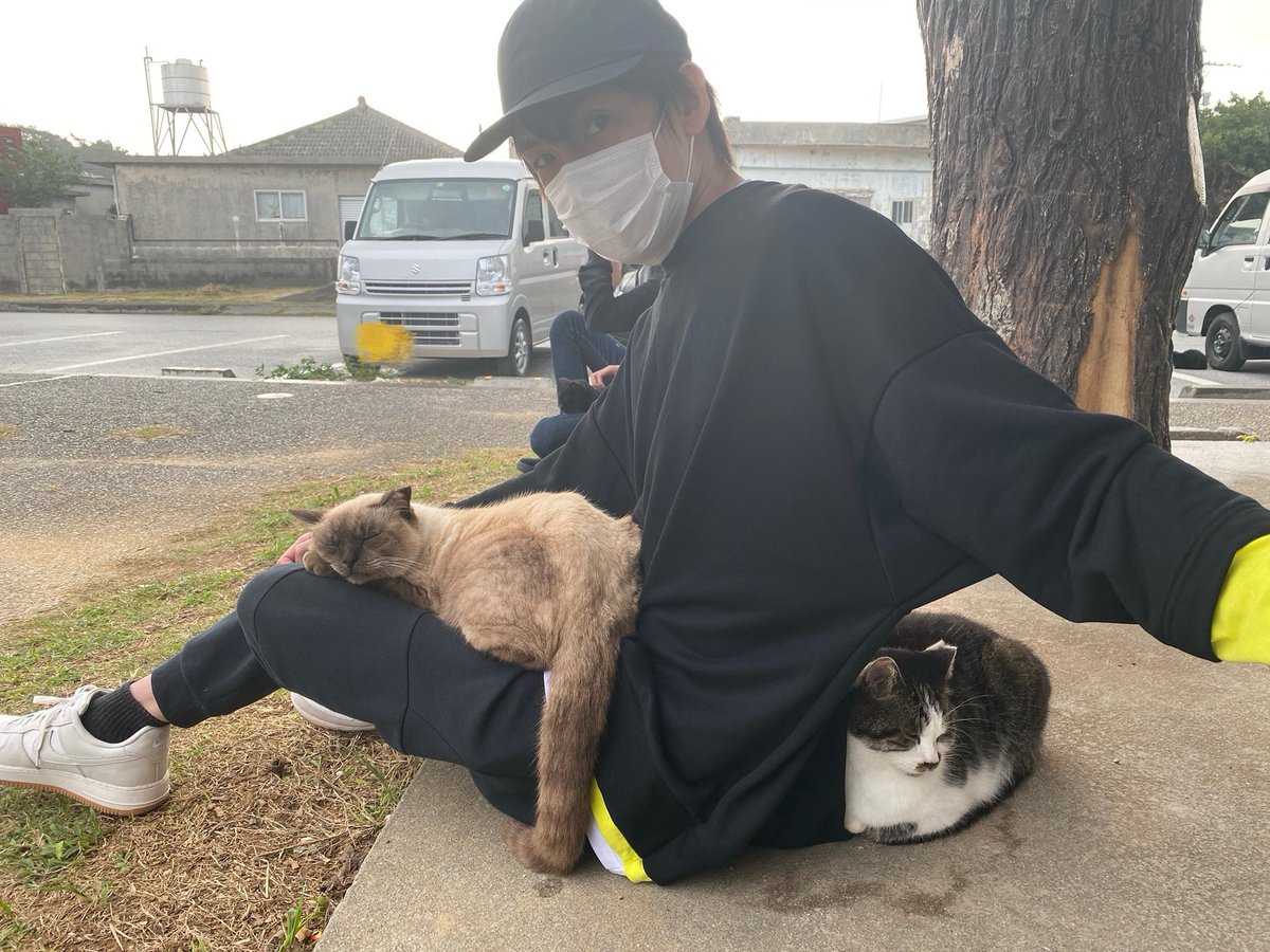 田丸篤志 tweet media