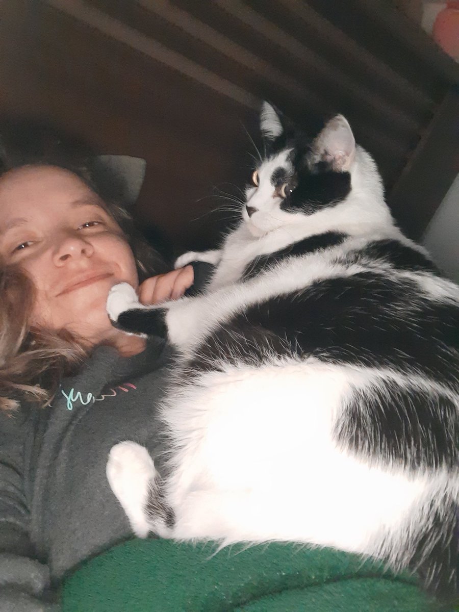 nelyfernad's tweet photo. Ela acha que pesa 500gr só 
Bom dia com gata gorda https://t.co/53IRU1vpbp