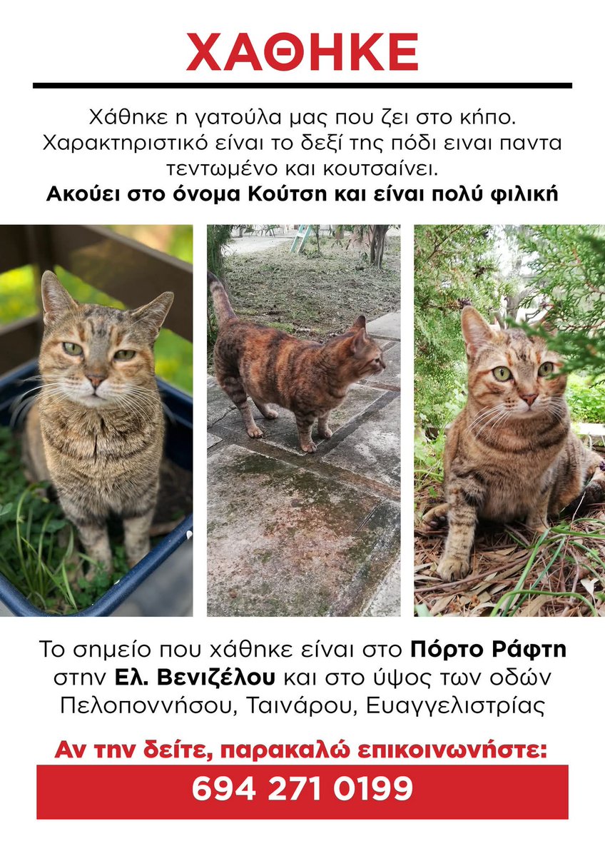 Χλε_Μπονα Σαμερ tweet media