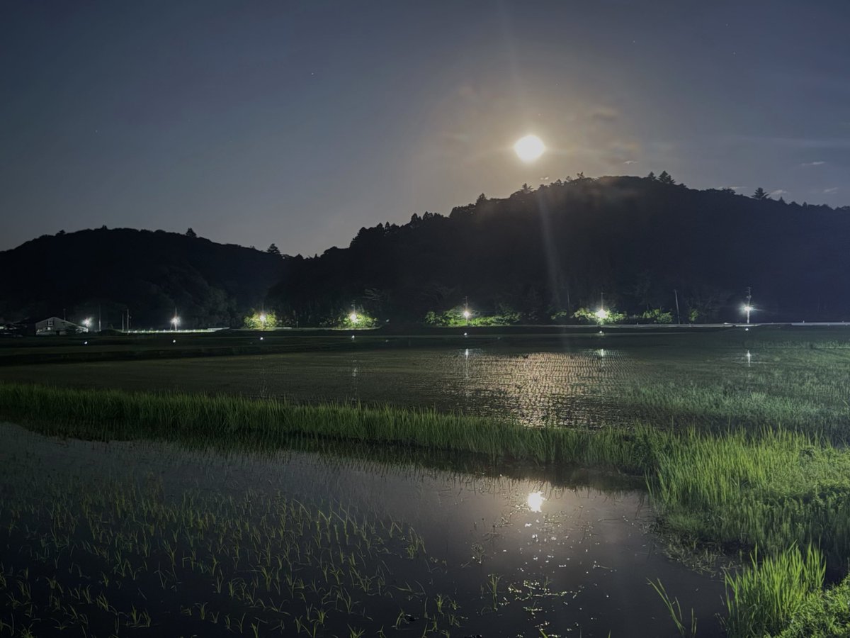 今夜はブルームーン。 静かな水田に映る満月が、もうひとつの月を