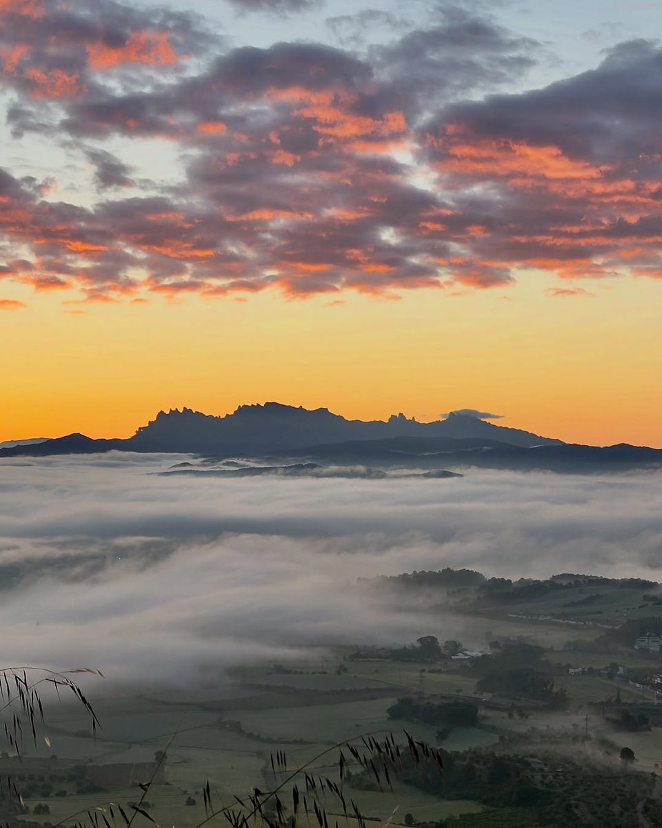 Anoia_Turisme's tweet photo. Gràcies a totes les persones que compartiu racons de l’Anoia amb el hashtag #anoiaturisme 💙

Paisatges, pobles amb encant, patrimoni i natura vistos a través dels vostres ulls ✨👇

📷 @jaumemore
📷 @decomarcaencomarca
📷 @raycountry
📷 @tremp1972 https://t.co/qZuyH7SVjb