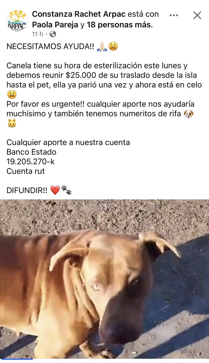 zig1758's tweet photo. 🚨🚨🚨🚨🚨🚨🚨🚨🚨🚨🚨🚨🚨🆘🆘🆘🆘🆘🆘🆘🆘🆘🆘🆘🆘🆘#Antofagasta https://t.co/e2ebzrPku8