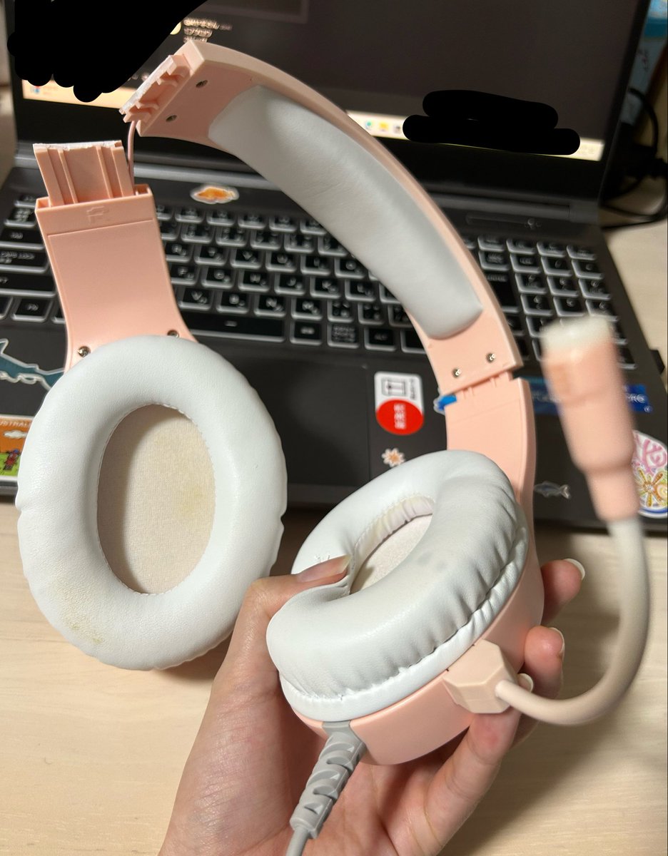 srmcut's tweet photo. おもしろすぎてヘッドホン壊れた！ https://t.co/z8FWSGABgx