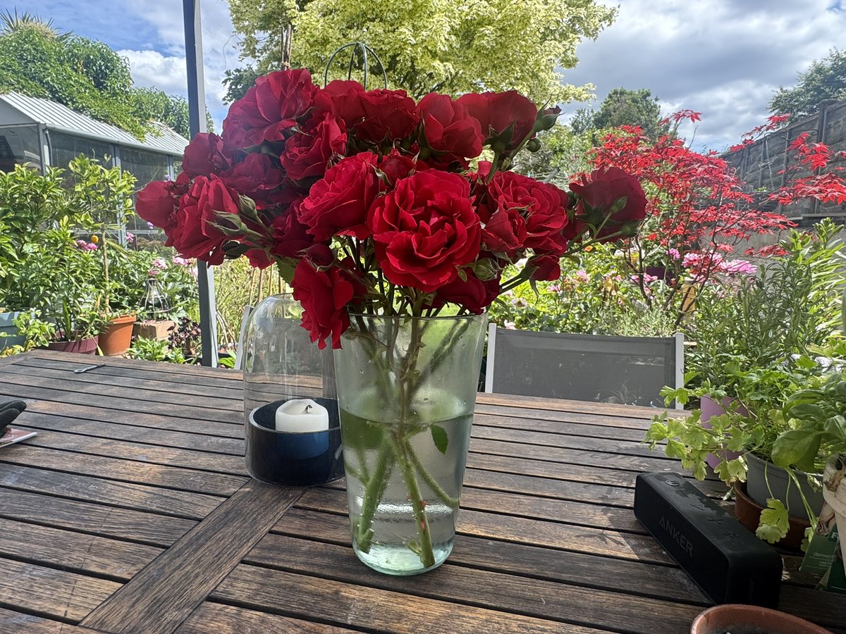GreyMaster11's tweet photo. May flowers 
@Girl15Gone and @JstCallMeElle 
Direct from the garden https://t.co/e9XT8TjeKD