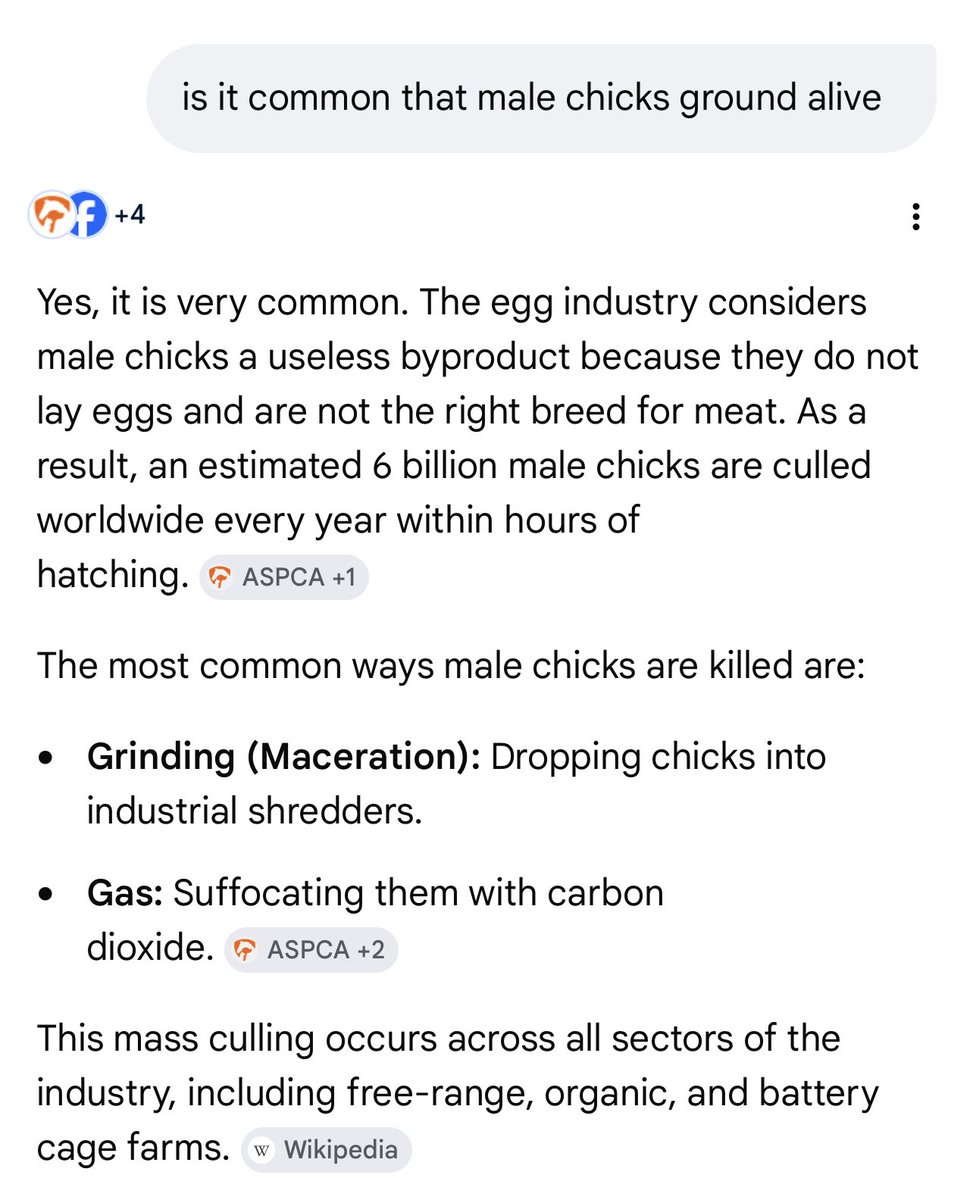 wrichter00's tweet photo. This is why I don’t eat eggs. https://t.co/ozVE3JR1XN