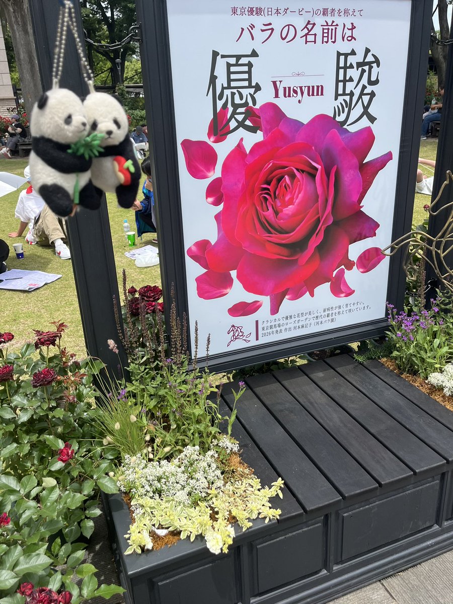 buburinko's tweet photo. @ukyomisaki1002 🌹❓🤔 https://t.co/KRNcmLtldy