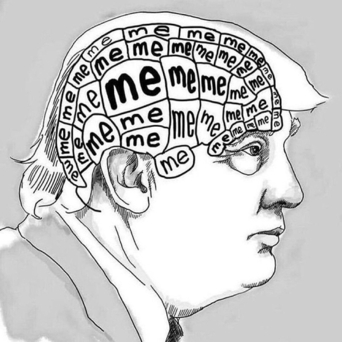 MyTardis_'s tweet photo. @TaraSetmayer The psychology of Donald Trump https://t.co/PU0ta4frbr