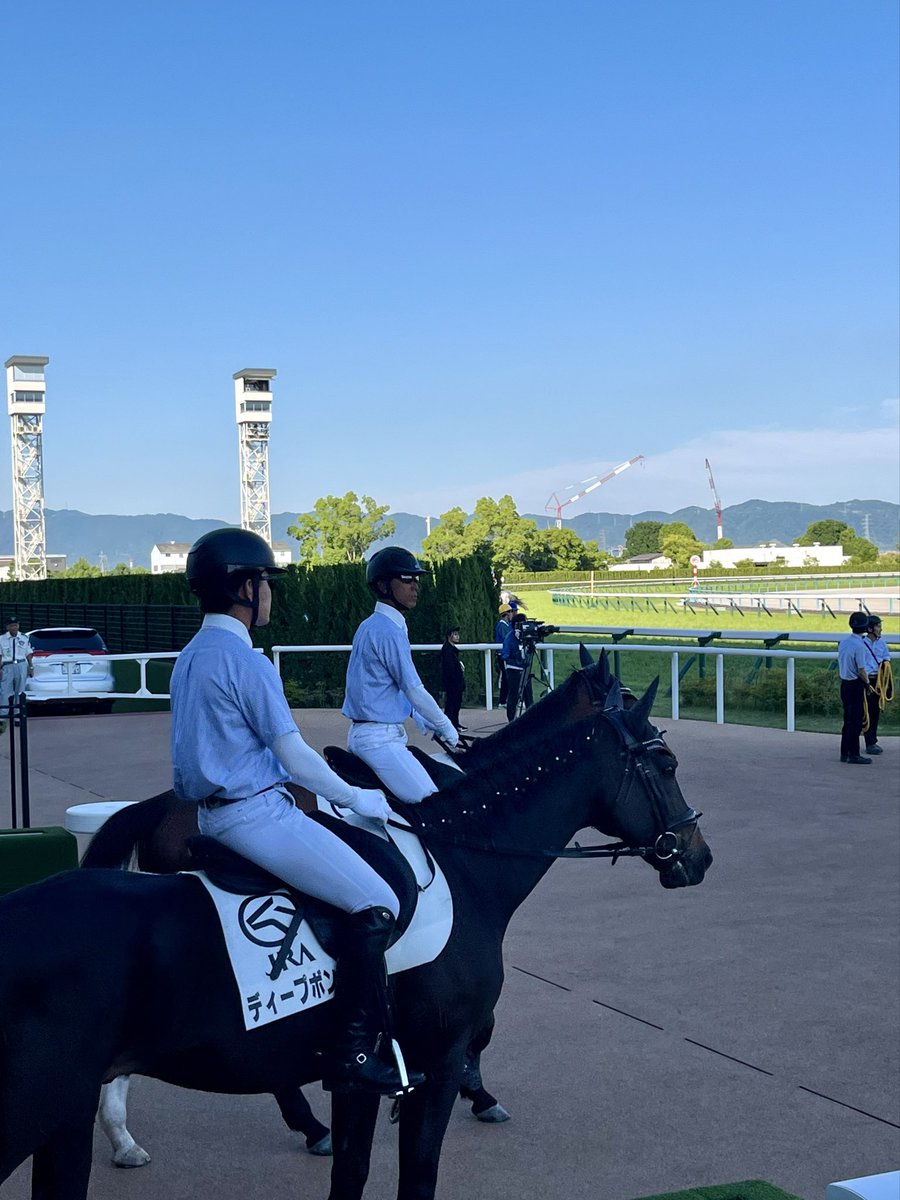 hittan07's tweet photo. 本日は京都競馬場に午後から行って来ました。久しぶりにディープボンドの姿を見ました🐎暑い中ご苦労様です、と思いました🫠 https://t.co/ccuhN2Kw8Y