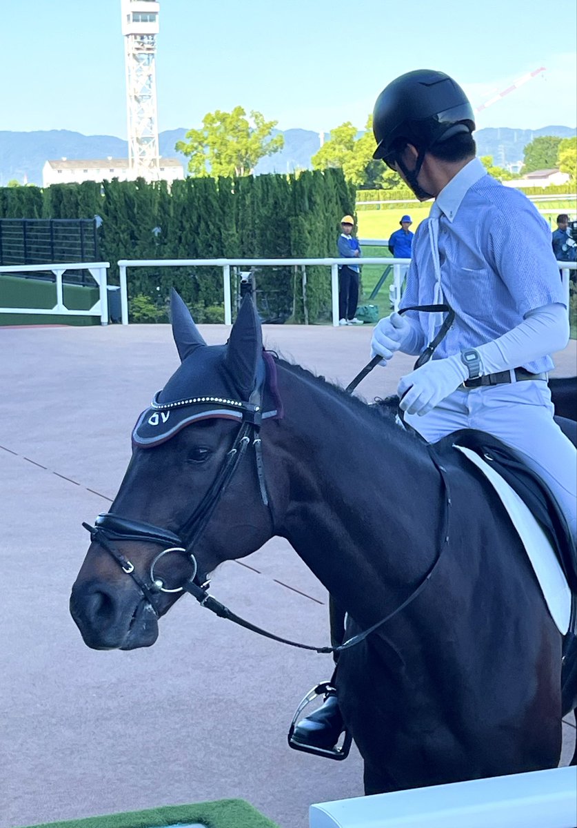 hittan07's tweet photo. 本日は京都競馬場に午後から行って来ました。久しぶりにディープボンドの姿を見ました🐎暑い中ご苦労様です、と思いました🫠 https://t.co/ccuhN2Kw8Y