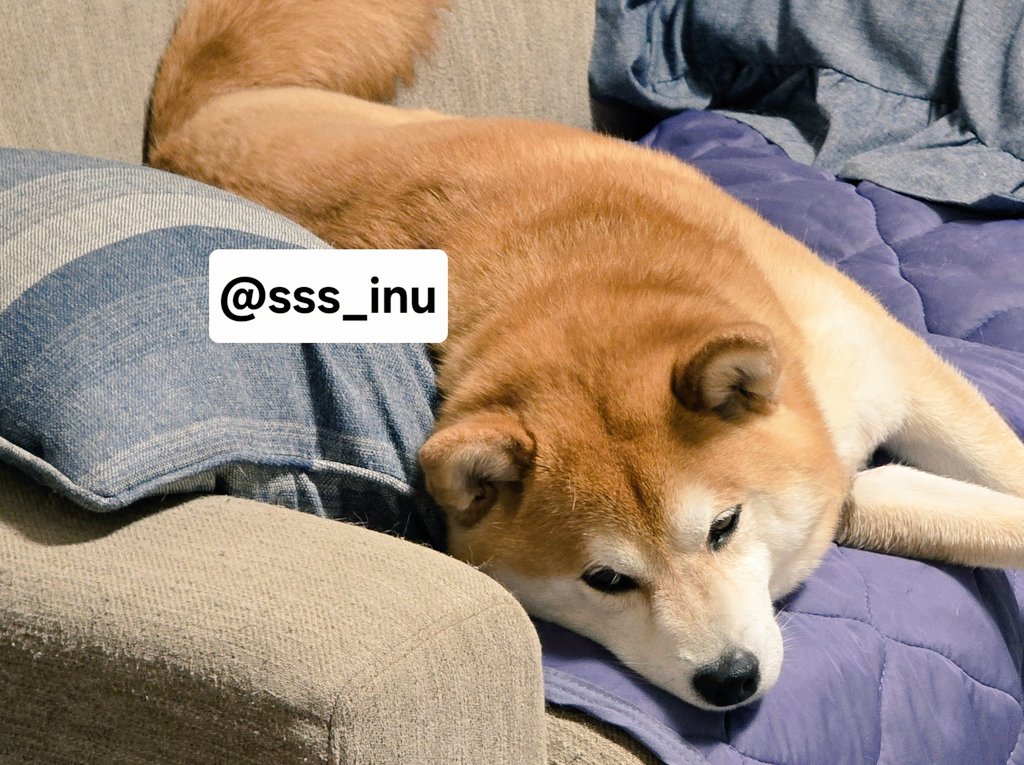 おやすみ～～🌃✨