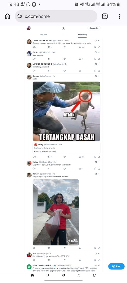 Slaf. tweet media