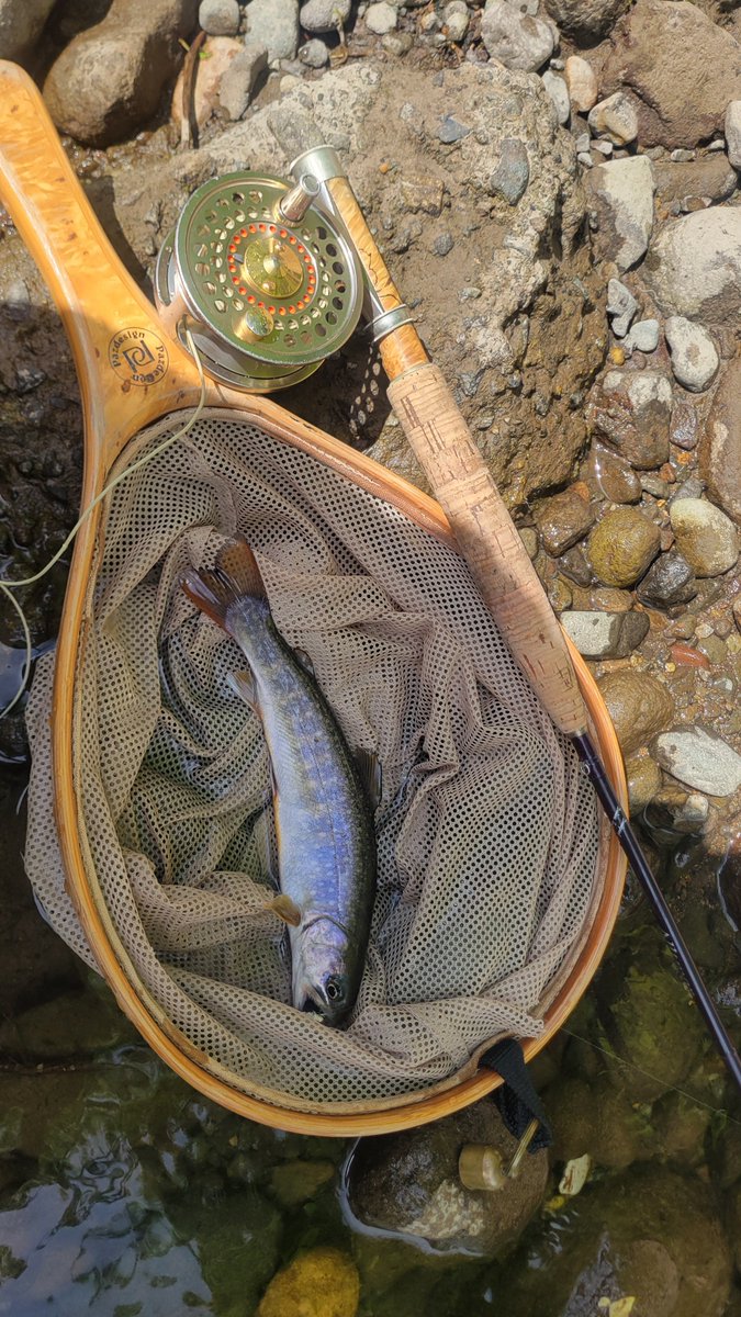 Kaimu_ER34's tweet photo. いい週末だった😊
#flyfishing https://t.co/SFNCa120oT