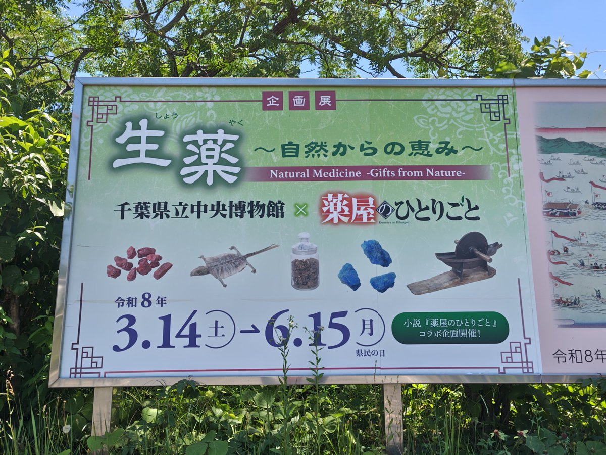 kurooribe's tweet photo. 千葉県立中央博物館「生薬 〜自然からの恵み〜」。ずらりと並ぶ植物、動物、鉱物の標本群に、よき薬を求める人類の飽くなき欲望と積み重ねられた叡智の一端を見た。よくぞそれを効能を見極めるまで試した…と驚く品々ばかり。本草学・博物学好きにたまらん内容でとてもおもしろい。こういう展示好き。 https://t.co/d19CummmLN