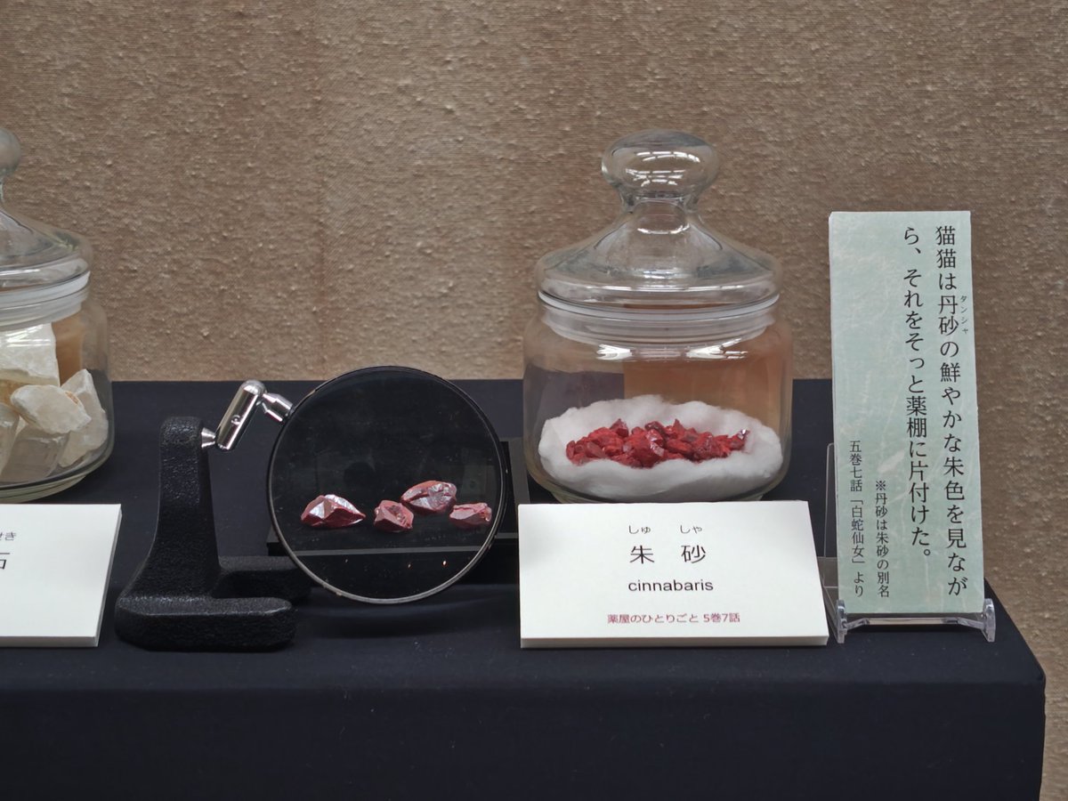 kurooribe's tweet photo. 千葉県立中央博物館「生薬 〜自然からの恵み〜」。ずらりと並ぶ植物、動物、鉱物の標本群に、よき薬を求める人類の飽くなき欲望と積み重ねられた叡智の一端を見た。よくぞそれを効能を見極めるまで試した…と驚く品々ばかり。本草学・博物学好きにたまらん内容でとてもおもしろい。こういう展示好き。 https://t.co/d19CummmLN