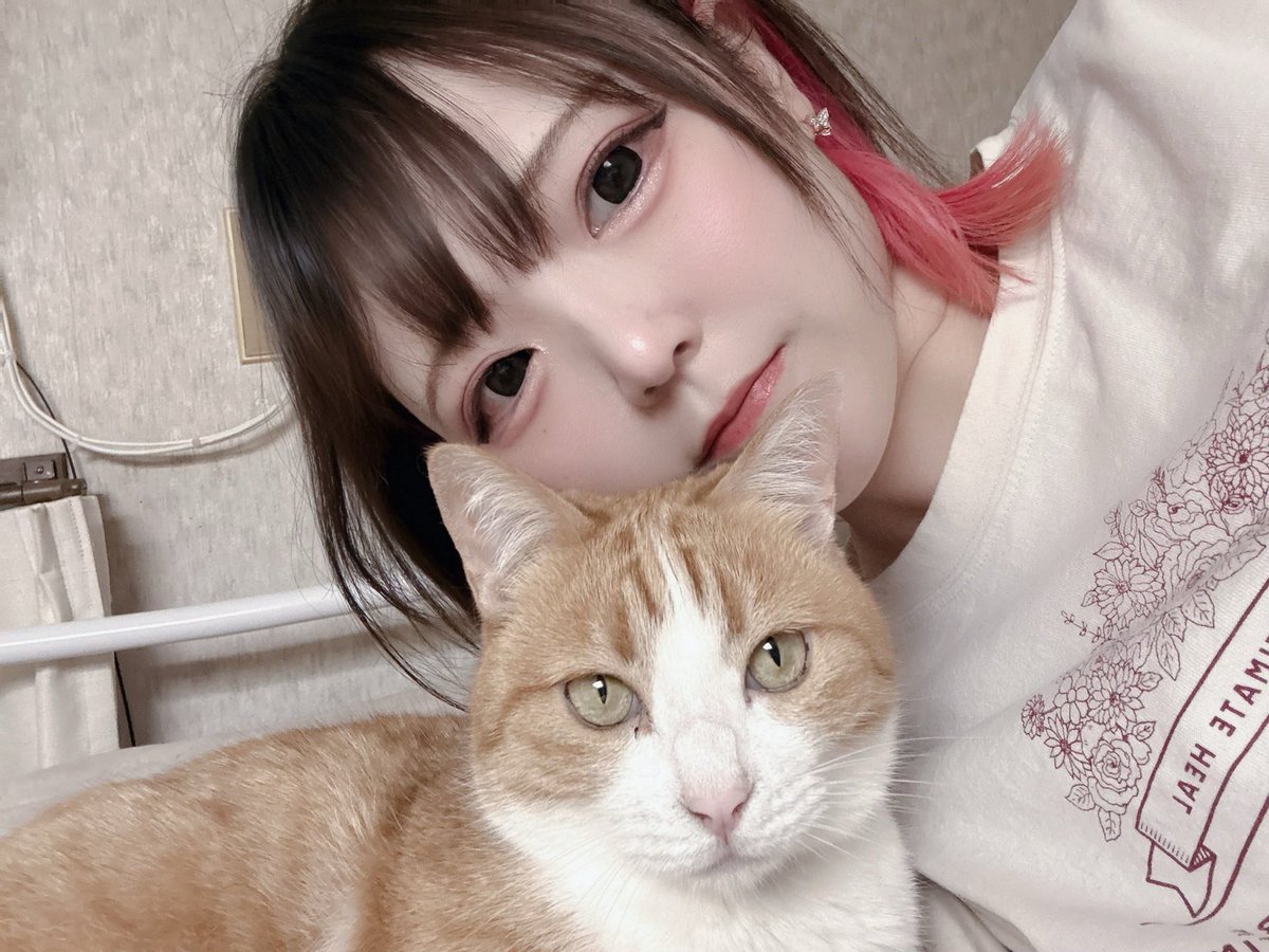 あまねこ tweet media