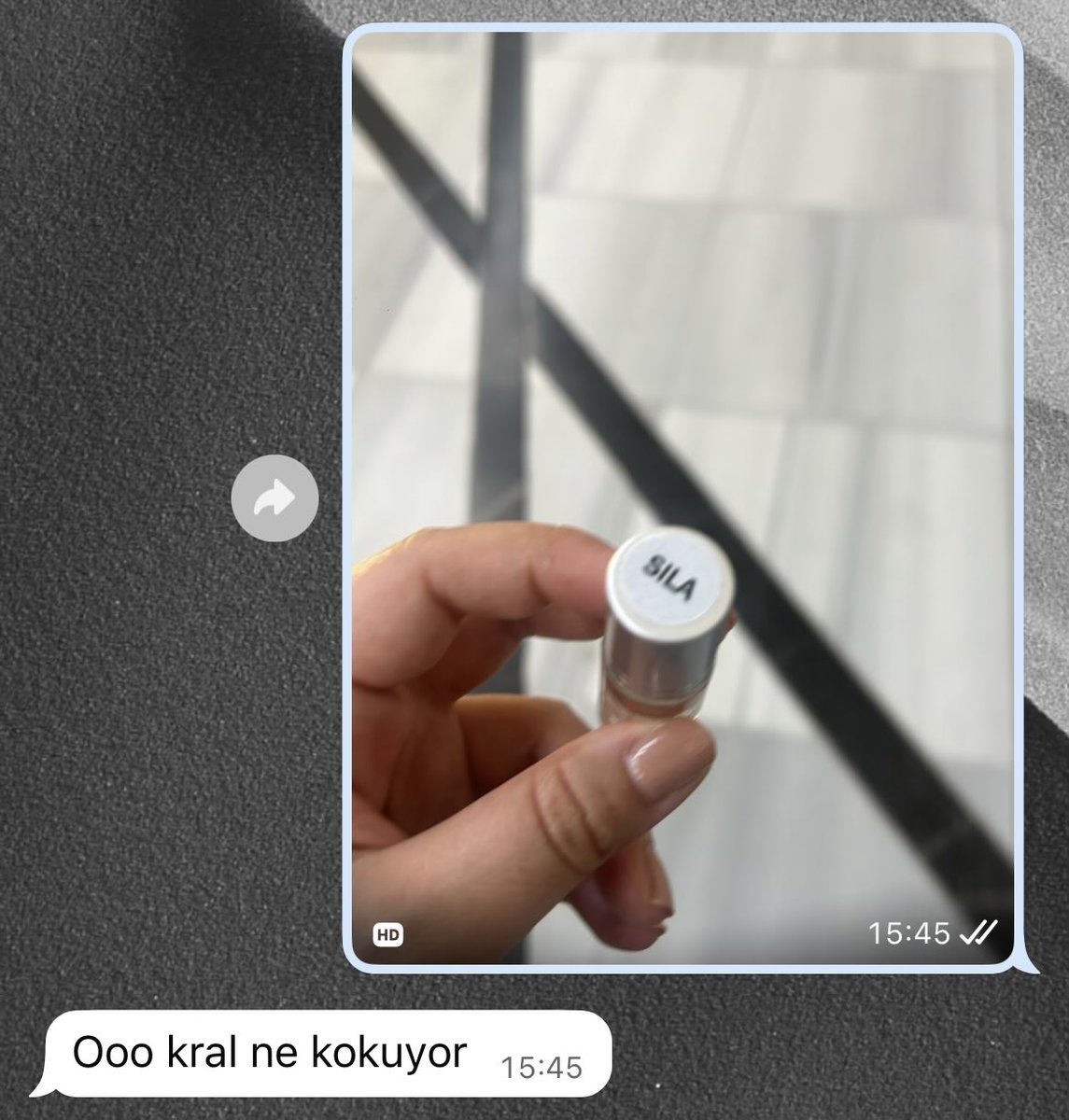 a h s ı l a tweet media
