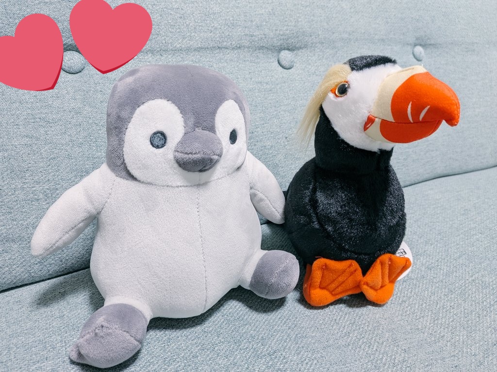 chan_aly's tweet photo. 今日行った大洗水族館に初めましての鳥類🐦‍⬛がいました‼️‼️
その名もエトピリカさんです🐦‍⬛
目の上にあるフサフサお毛が可愛くて可愛くて(*^^*)
そしてこの羽ばたく瞬間はイケメンではないか🐦‍⬛🐦‍⬛
ぬいを購入即決致しました✨️
鳥ぬい集め最高かよ😭😭😭😭 https://t.co/rFGuGxE7Ww