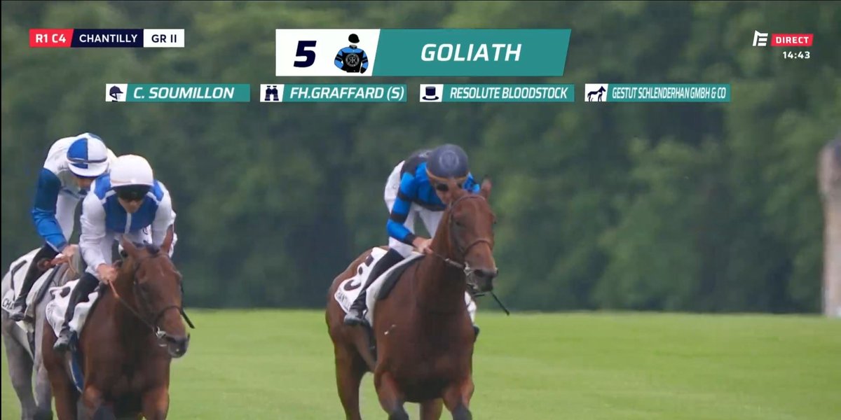 ashsh's tweet photo. A giant amongst them.
GOLIATH 🇫🇷 showed his @Ascot class for @resracingky @GraffardRacing and Soumillon.
That was much more like it!
--
Cualificar not at it today. https://t.co/0LKl9CiVlw
