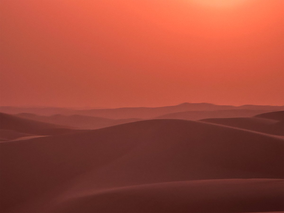 DuneInfo's tweet photo. "The vastness &amp; silence of the desert definitively invite introspection, a meditative state ... the desert directly evokes death, yet it is an ecosystem teeming with life. From this paradox emerge the seeds of an unmistakable existential shock"
Denis Villeneuve - Métal Hurlant 19 https://t.co/SYNCyz804X