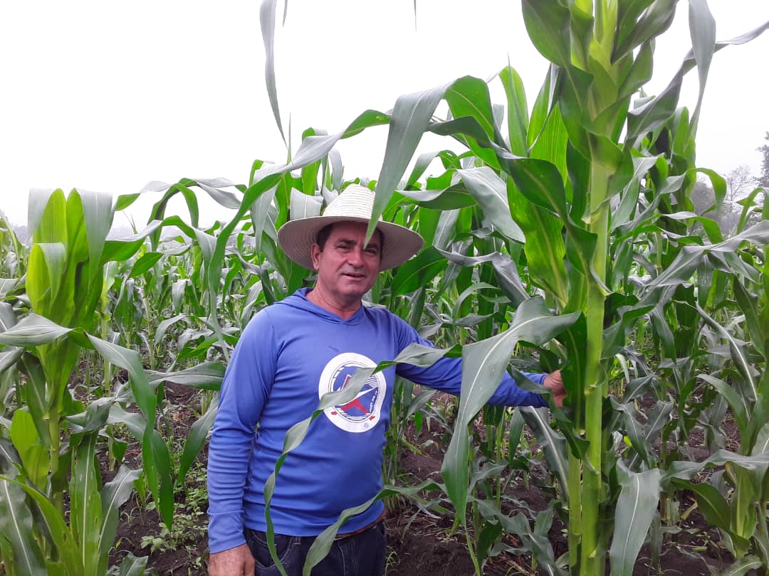 26deLasTunas's tweet photo. Rosbely Cisneros Orama, al frente de la finca Valle del Seis, en #Amancio #LasTunas, logró con mucho sacrificio transformar lo que hace 8 años era un bosque en tierras productivas. TE LO PRESENTAMOS: https://t.co/LTDwzkfOz5 https://t.co/q3a87PCqxZ