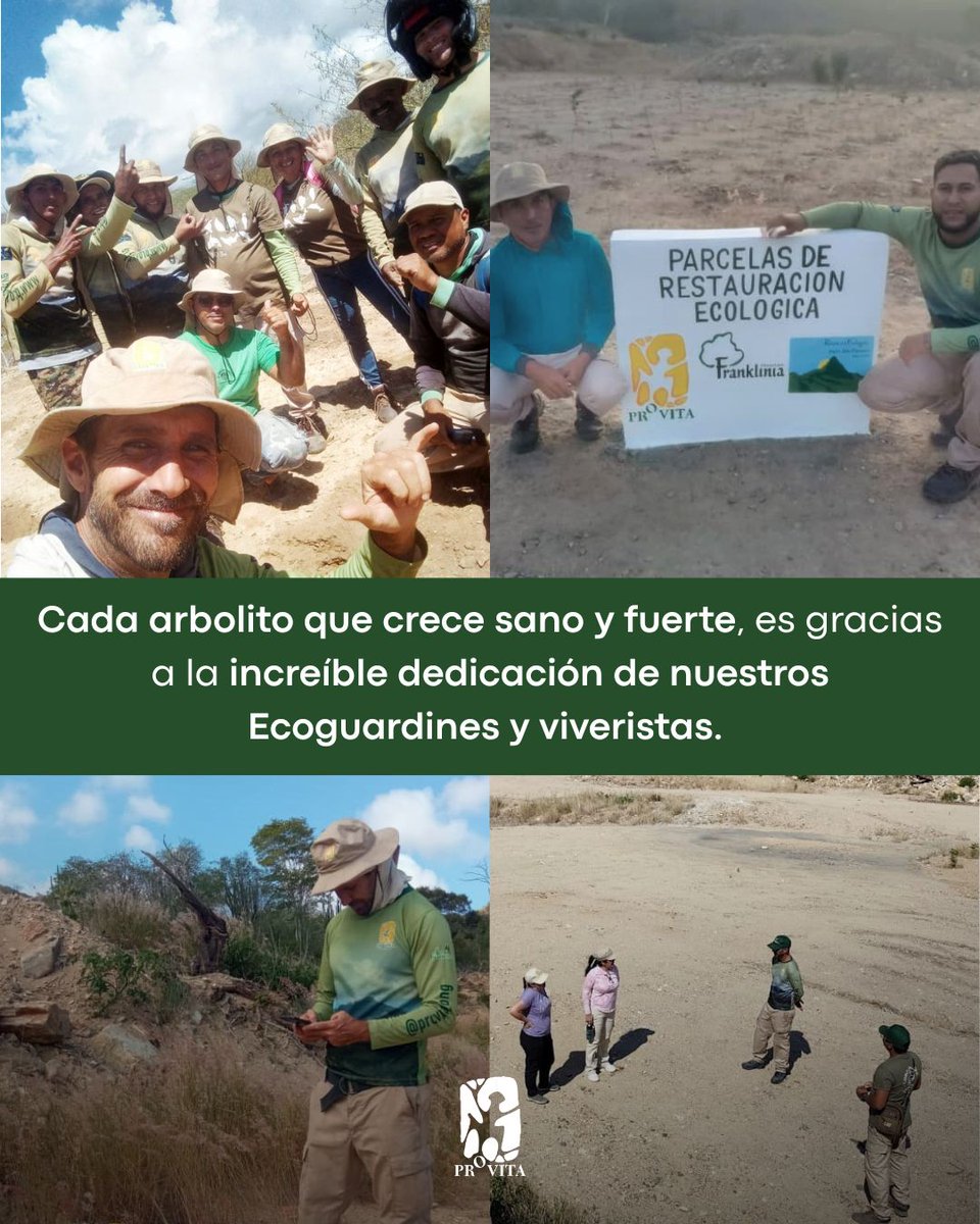 provita_ong's tweet photo. ¡Feliz Día del Árbol!🌳

A propósito de esta efeméride celebramos la dedicación de nuestros Ecoguardines y viveritas para cuidar de cada una de las especies que plantamos en nuestro proyecto de restauración en Macanao. 🌱💚

👉🏼En Provita, trabajamos para proteger la biodiversidad ecosistémica de la Península y la calidad de vida de sus comunidades. 

Y tú, ¿ya conocías estas especies?🔎

#ProvitaONG #DíadelÁrbol #Restauración #ConservacióndelAmbiente